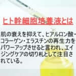 【ざわちんも高評価】遺伝子検査で肌分析！話題のオーダーメイド美容液が凄すぎました…